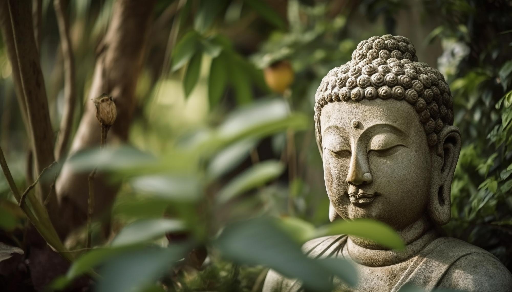 meditating-buddha-statue-in-tran