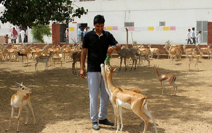 narender bishnoi