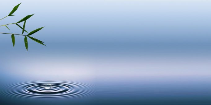 zen-giot-nuoc-mat-ho-2b