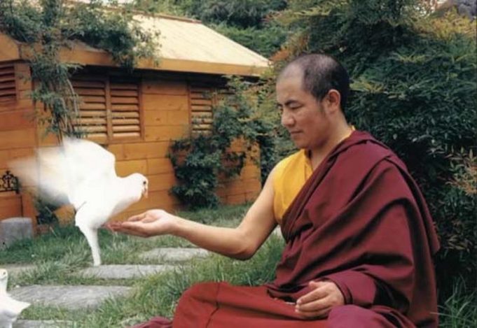 khenpo-sodargye-8-